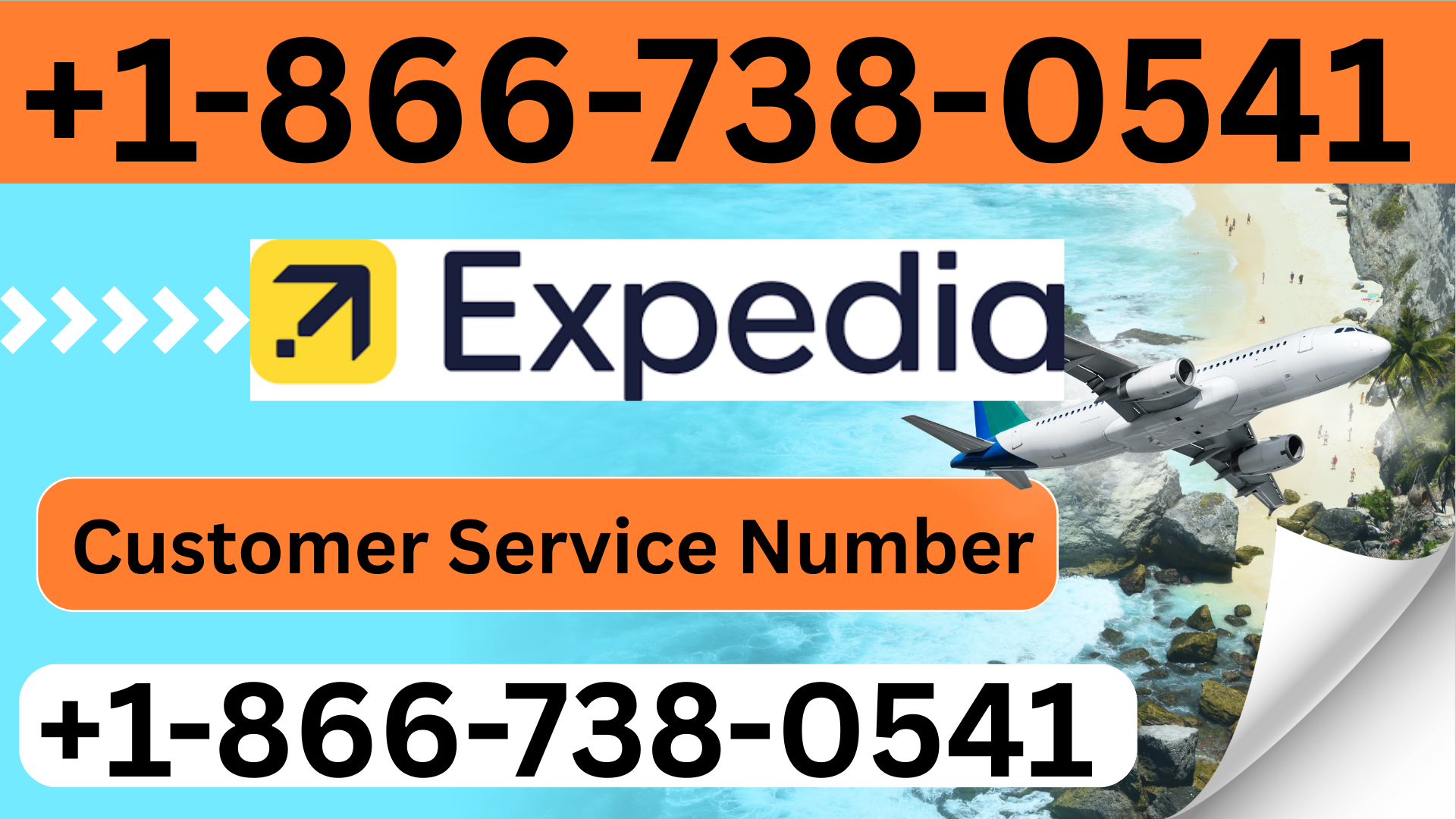 United Airlines Missed Flight Policy No Show Rules Explained — Virginia Zoo